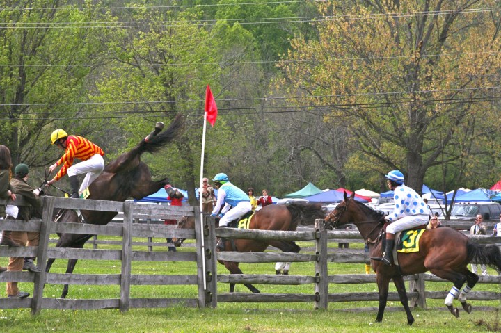 Maryland Hunt Cup (2).jpg