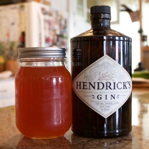 Hendrick's and tonic