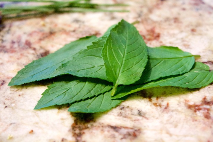 Mint Leaves